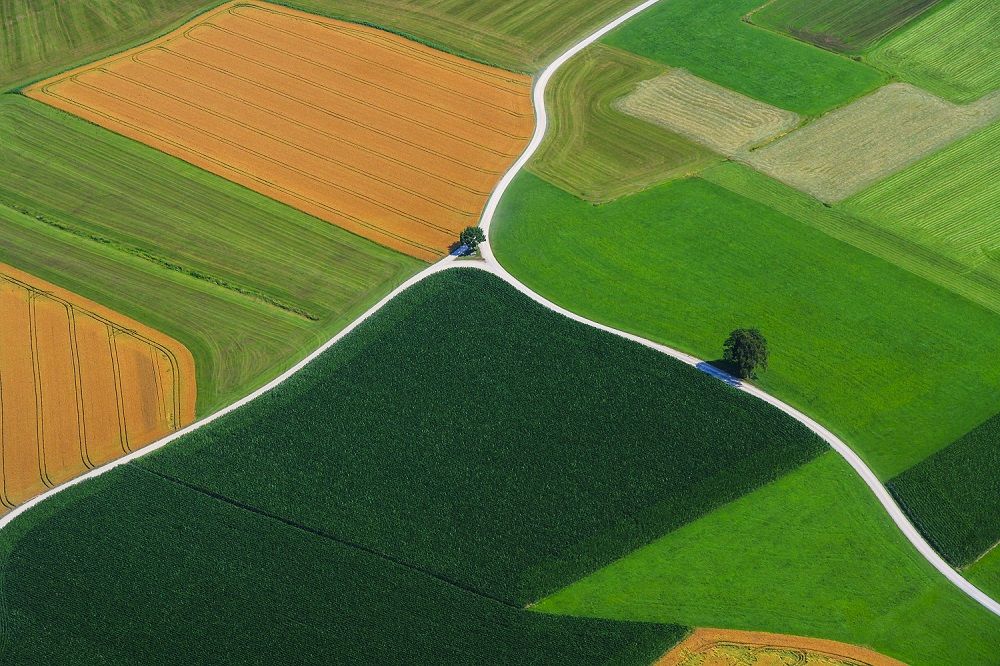 Atos y 11 socios europeos finalizan el proyecto EO4AGRI para la digitalización del sector agrícola