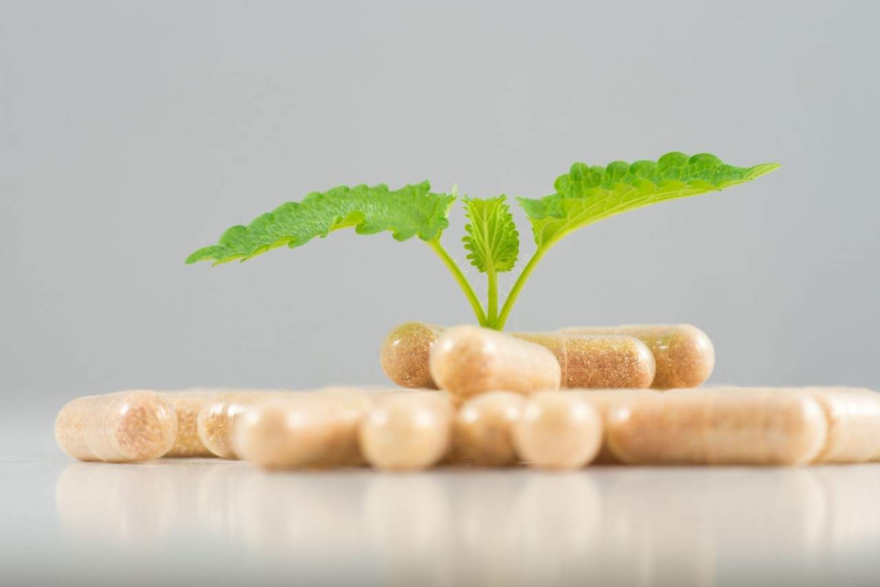 Aceite esencial contra ansiedad en Comdiet: ANSIODEP-OIL