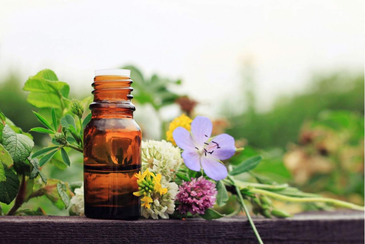 ¿Quién es Lola Peña? Especialista ayurveda en Granada