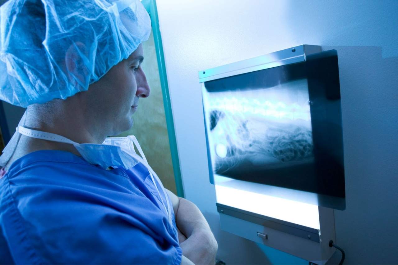El software veterinario PetClinic
