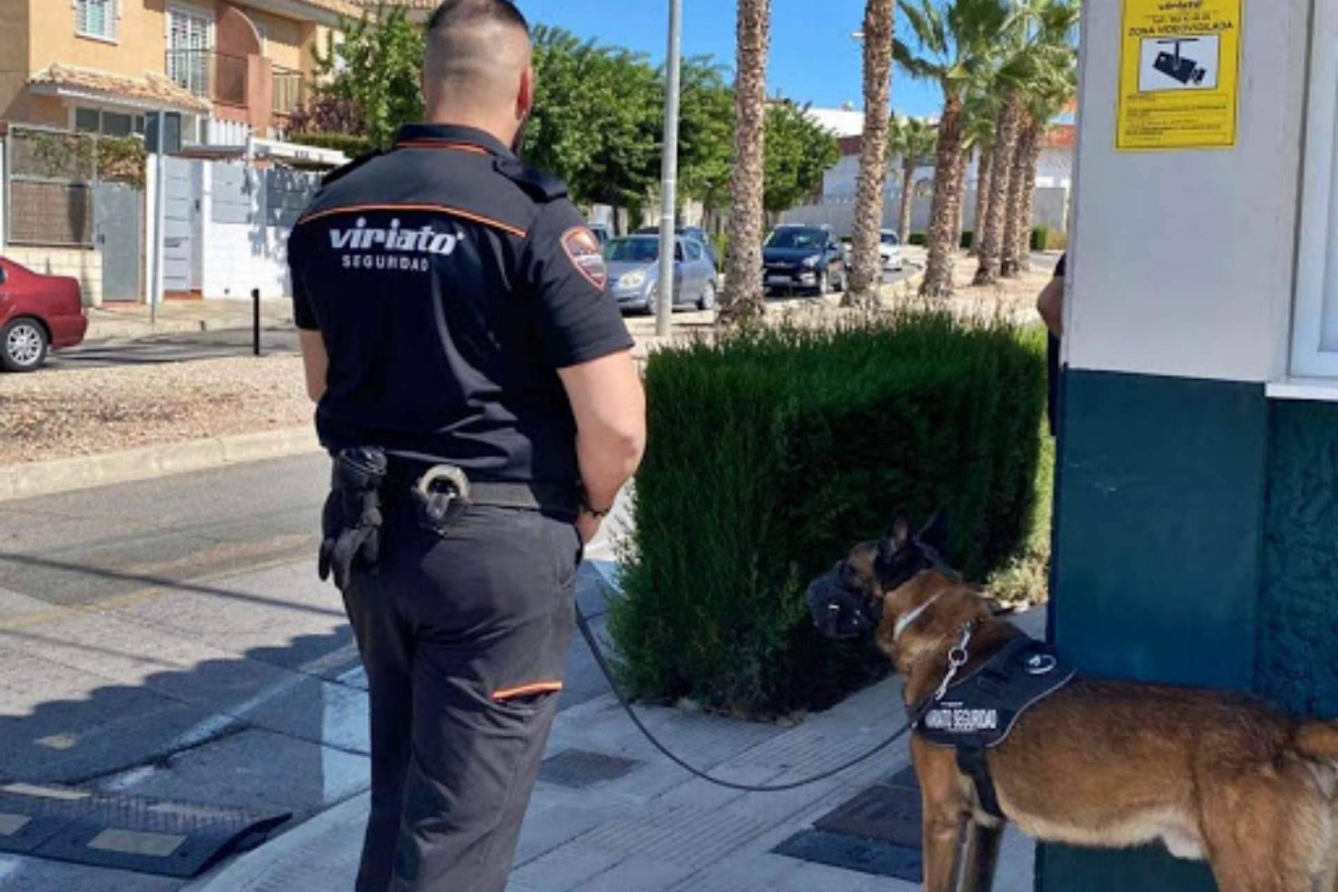 Viriato Seguridad, empresa de referencia en el sector de la seguridad gracias a sus servicios de vigilancia de alta calidad