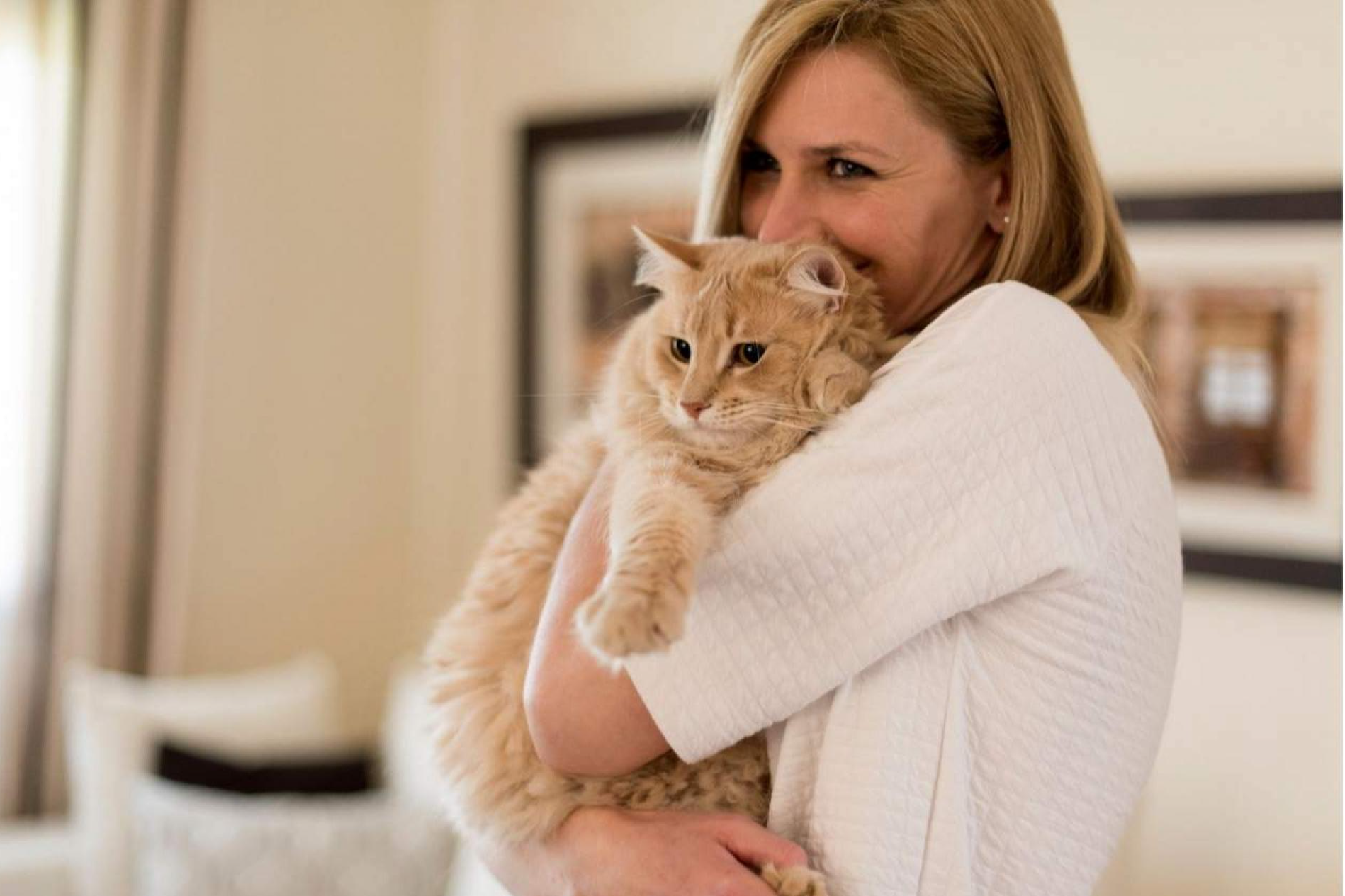 El método de la Encantadora de Gatos para enseñar cómo educar a un gato para que no muerda