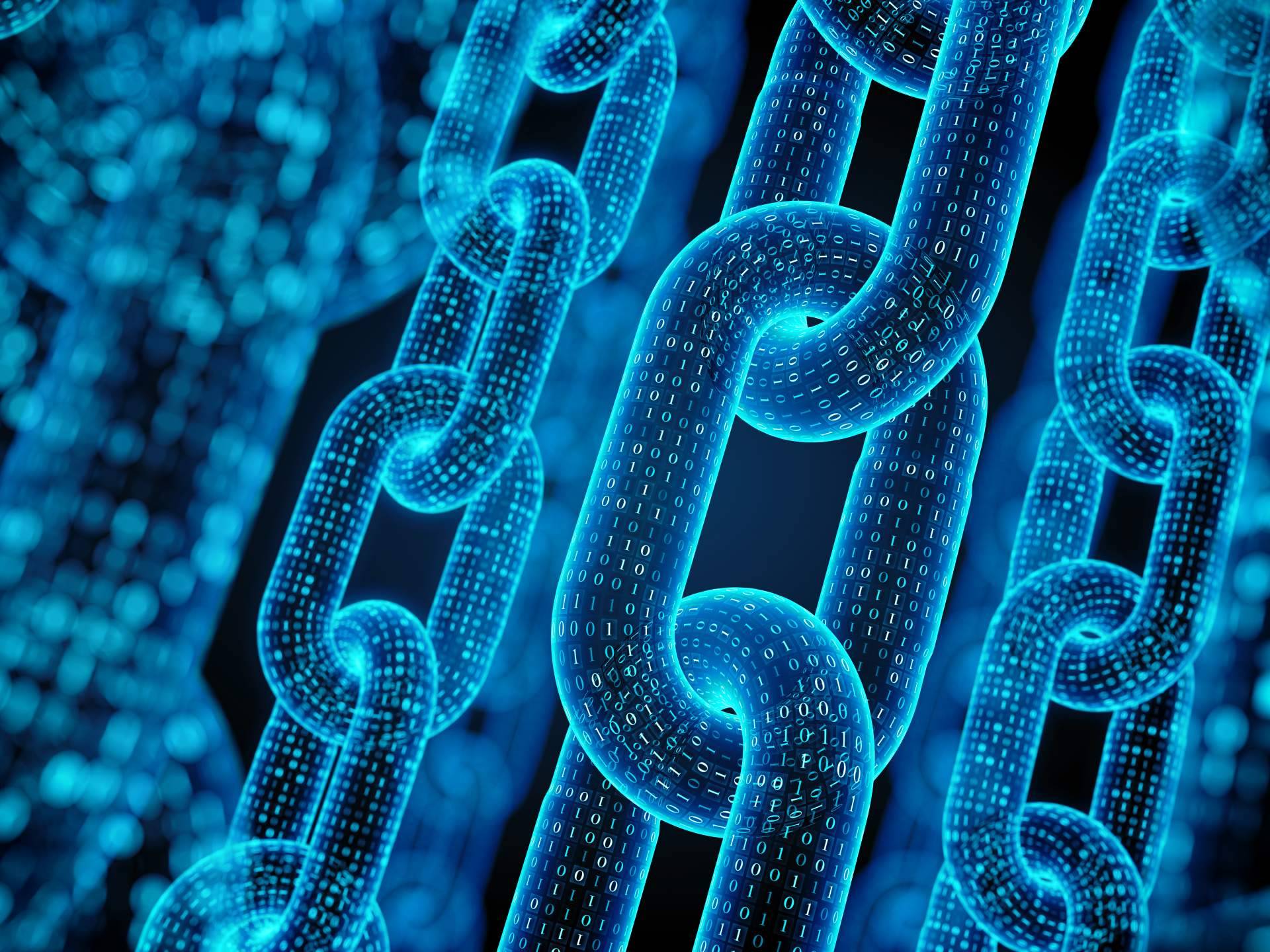 Blockchain School for Management ofrece diferentes cursos de formación Blockchain