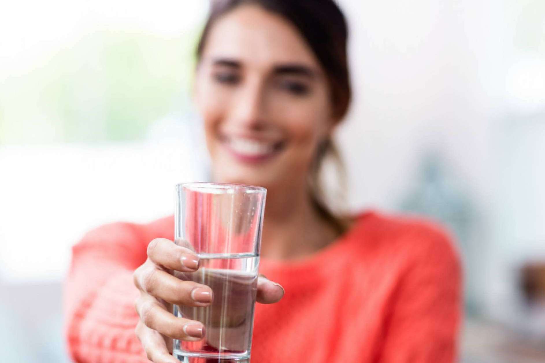 Filtros Frigoríficos Americanos permite instalar filtros y obtener agua potable de alta pureza