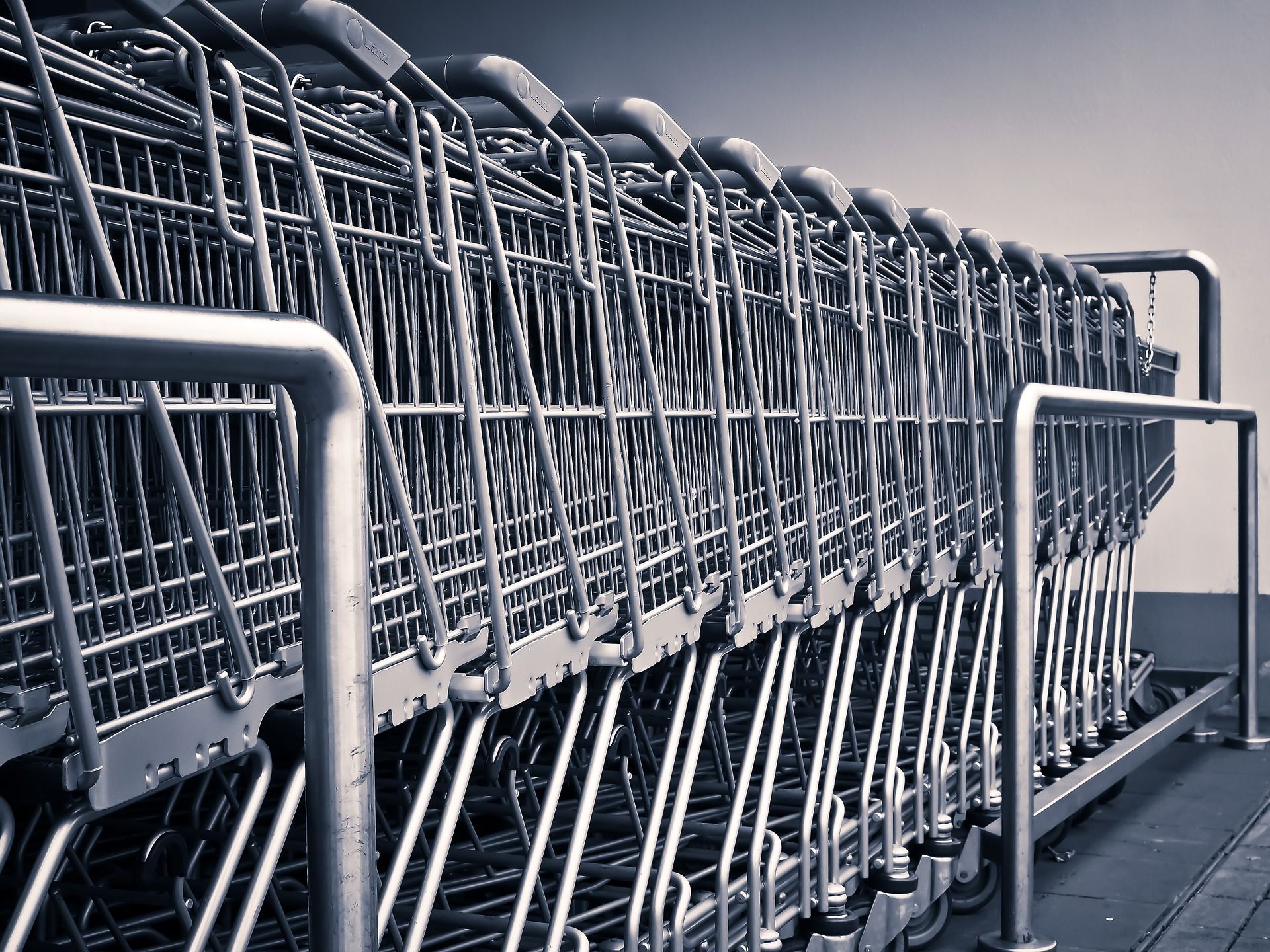 Adquirir los mejores carritos en el mercado por Todocarritos.top