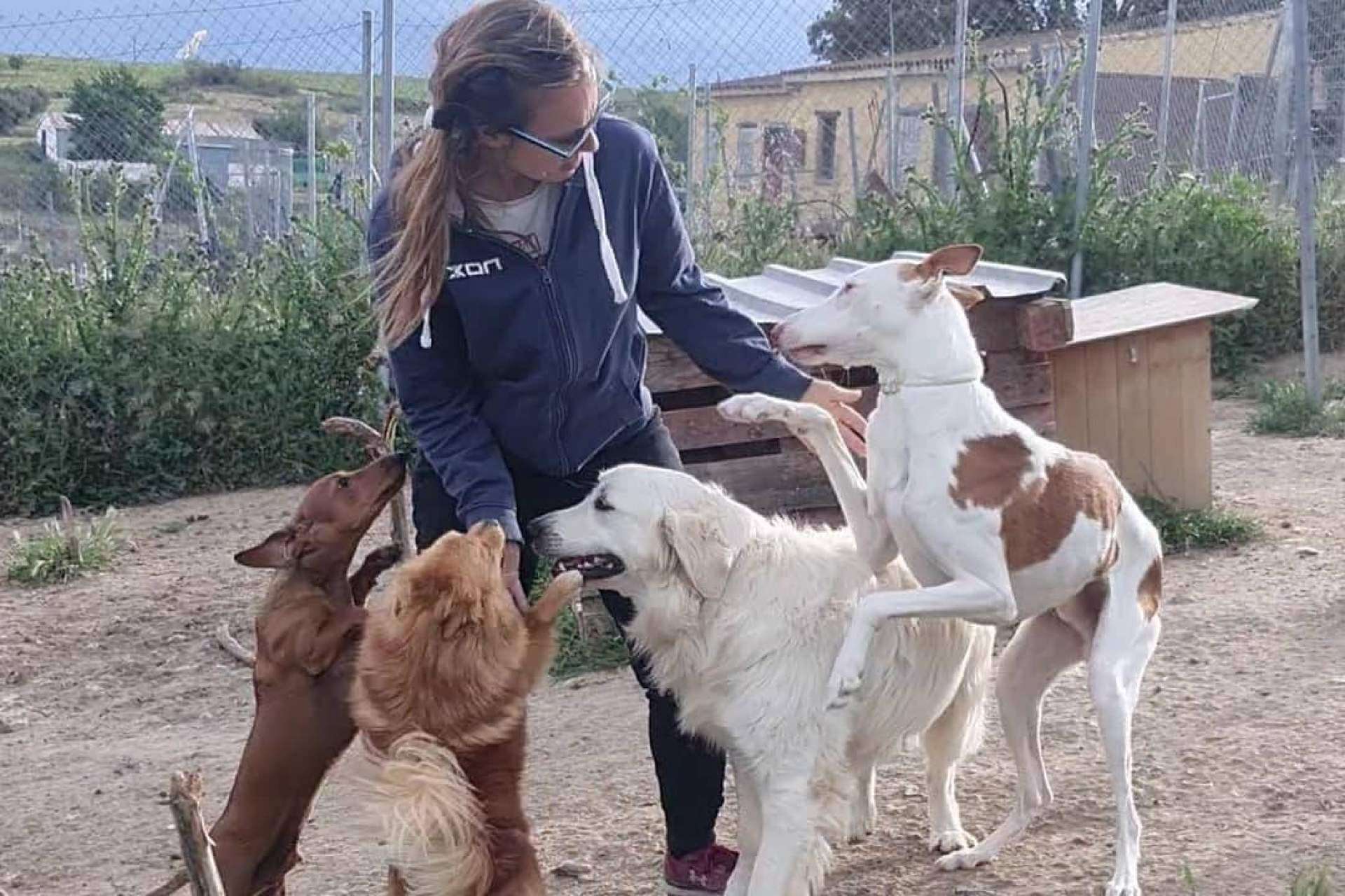 ¿Qué servicios ofrece la guardería de día de perros, PERROBUENO?