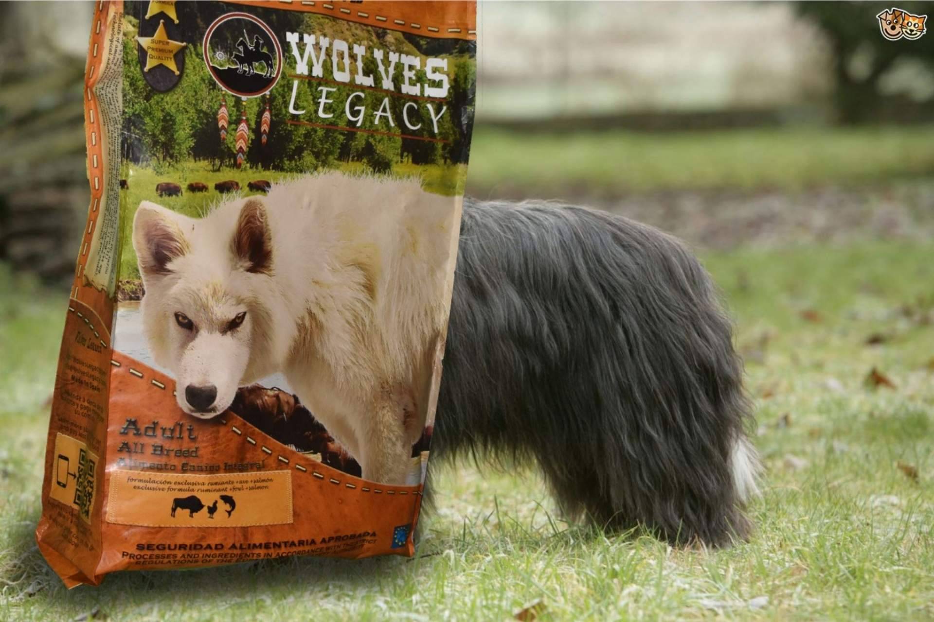 Las mejores opiniones del pienso para perros Wolves Legacy