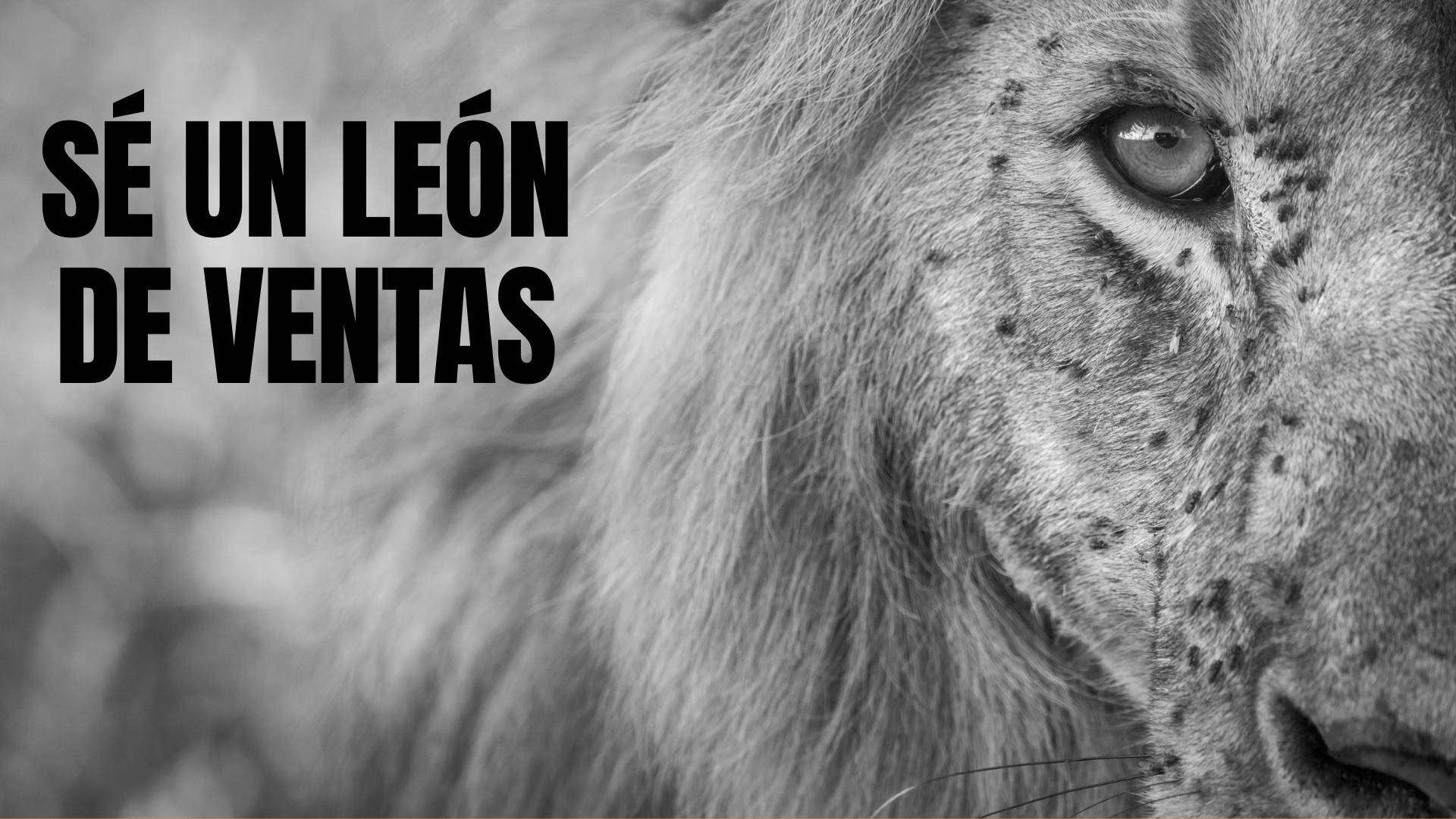La estrategia de Javier Ramos para ser un León de Ventas