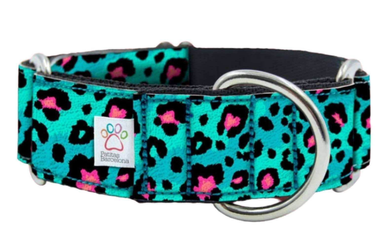 Patitas Barcelona, ¿Qué tipo de collar es mejor para cada perro?