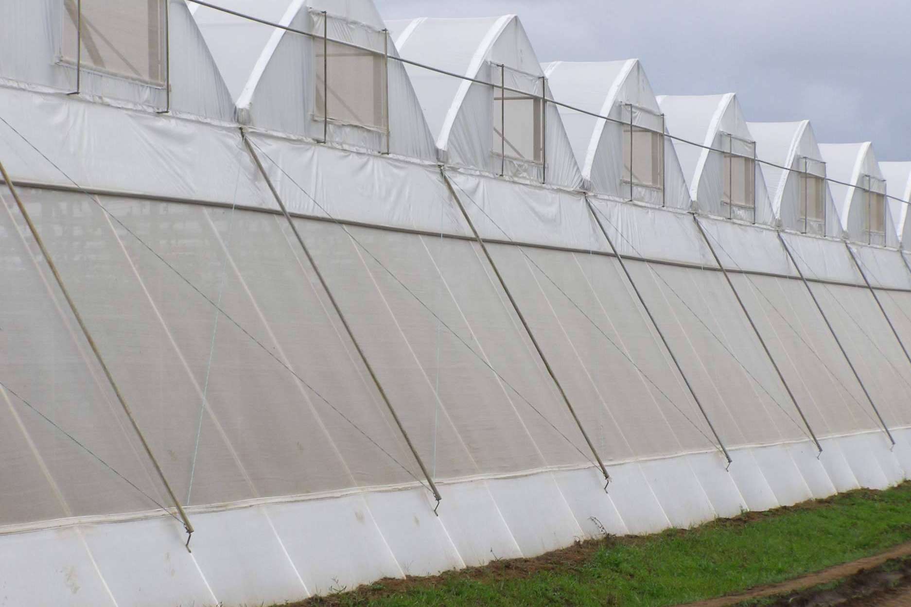 AGRALIA presenta AGRICOVER, el nuevo paquete tecnológico
