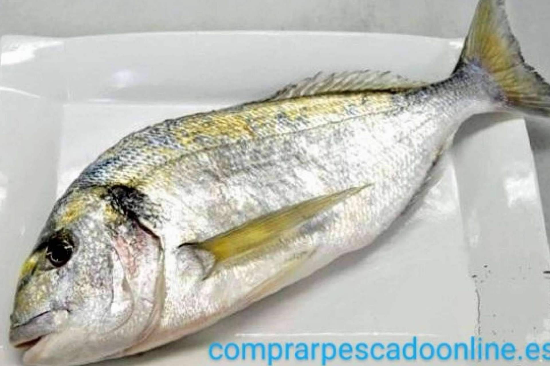 La base de una dieta equilibrada se encuentra en el pescado azul y el pescado blanco de Comprarpescadoonline