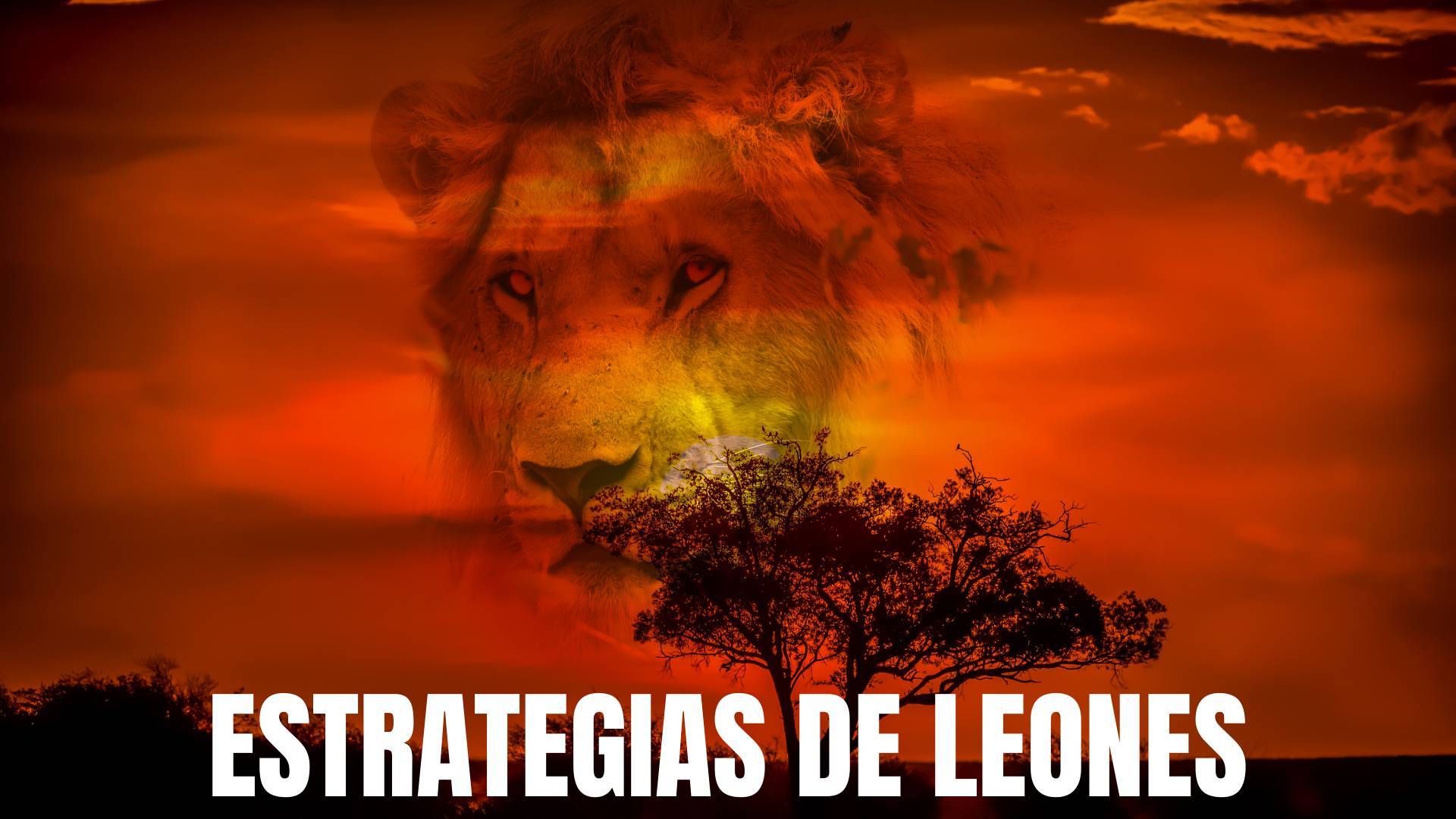 Estrategias de Leones, el funnel de Javier Ramos, el León de Ventas