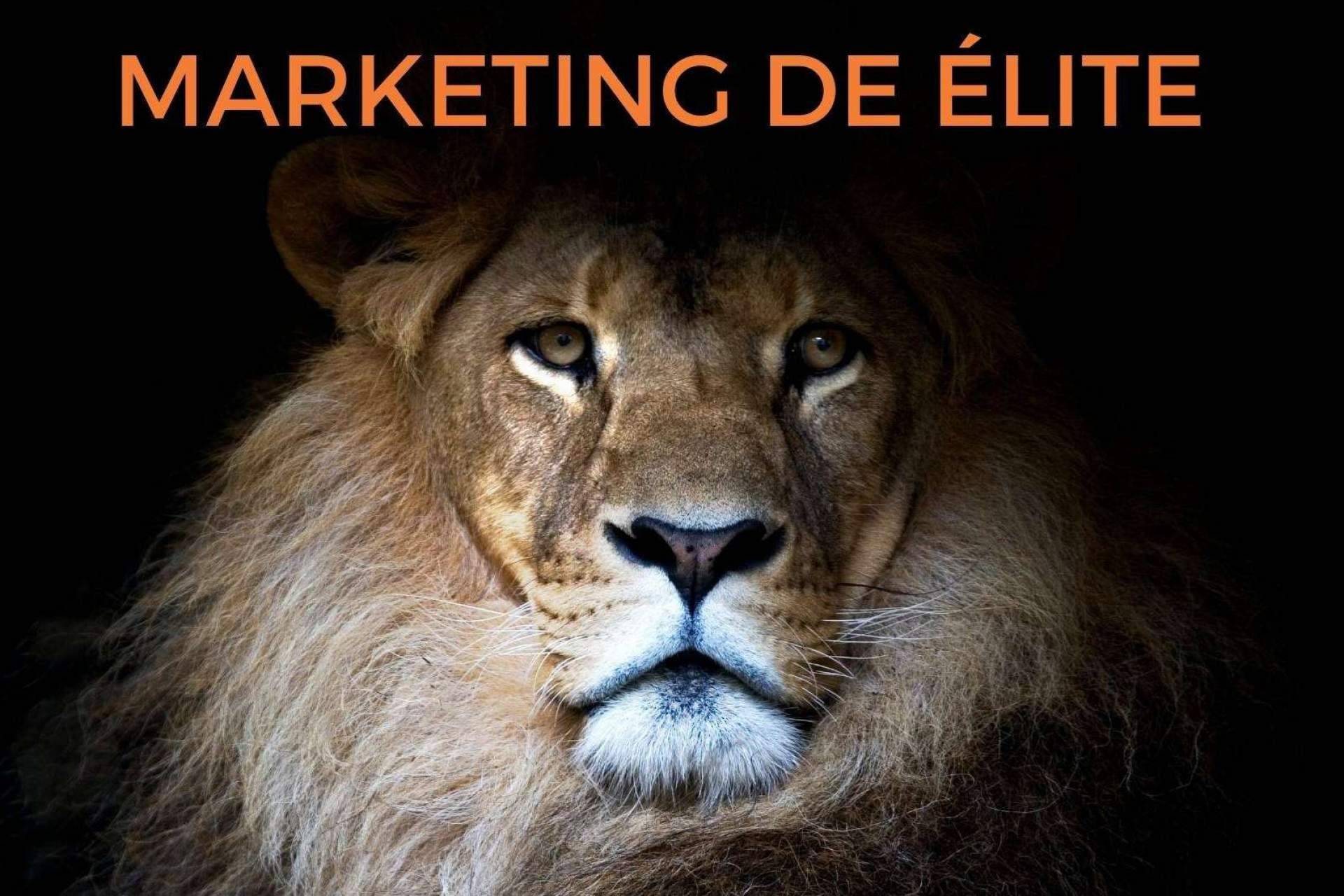 El León de Ventas presenta su nuevo libro, Marketing de Élite