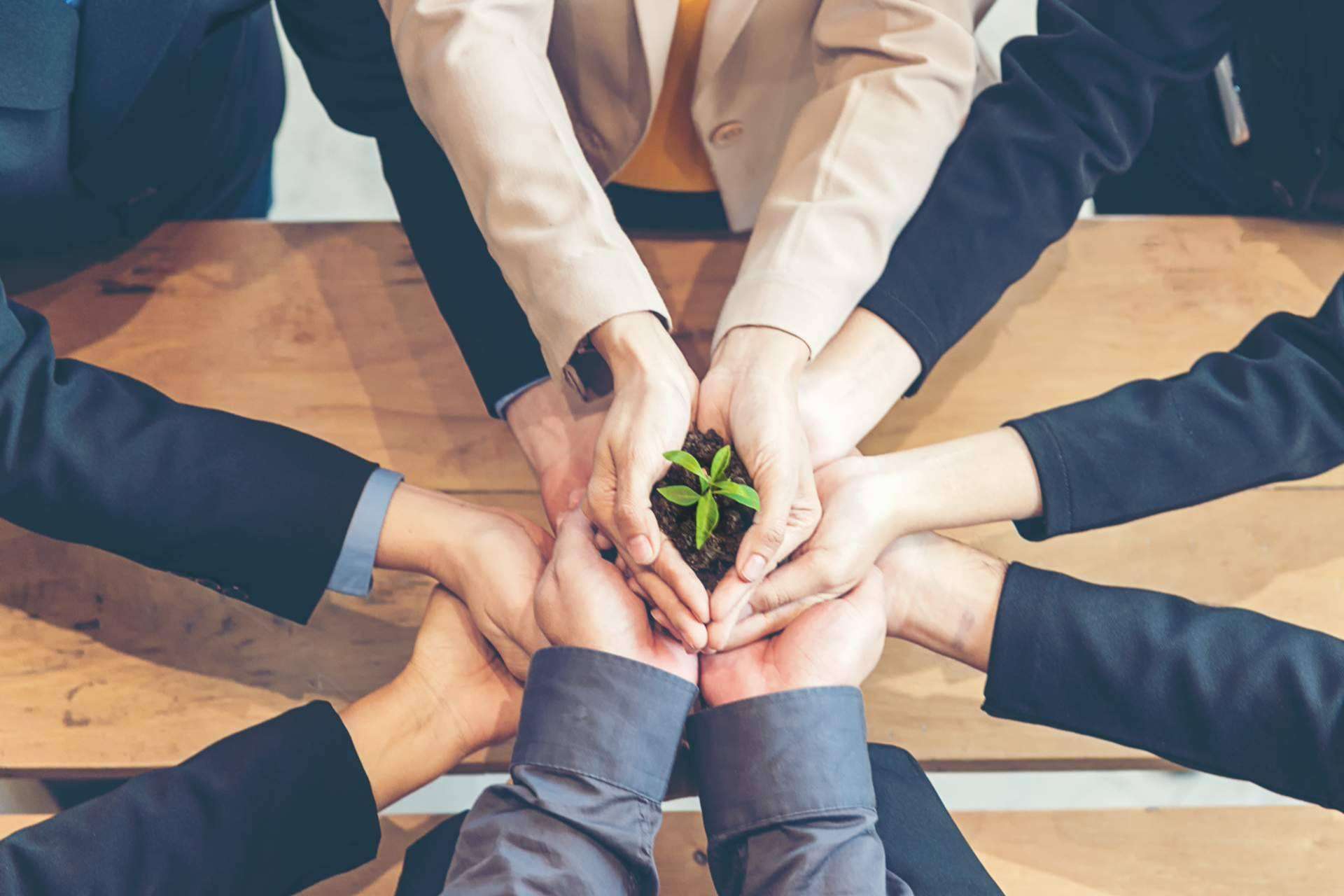 Ipostar recalca la importancia de la responsabilidad ambiental empresarial