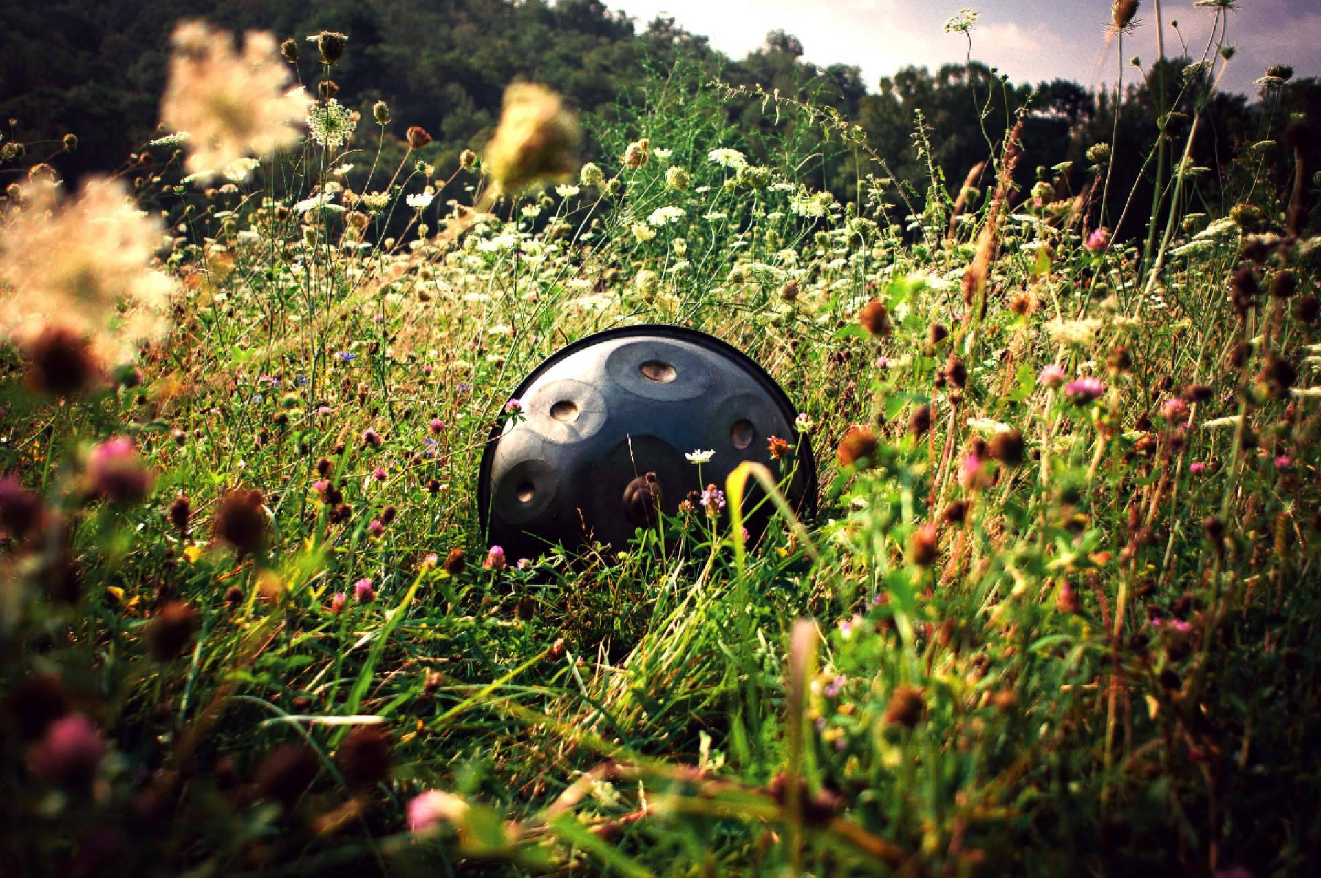 La web especializada en España que ofrece información detallada sobre el handpan, handpan.es