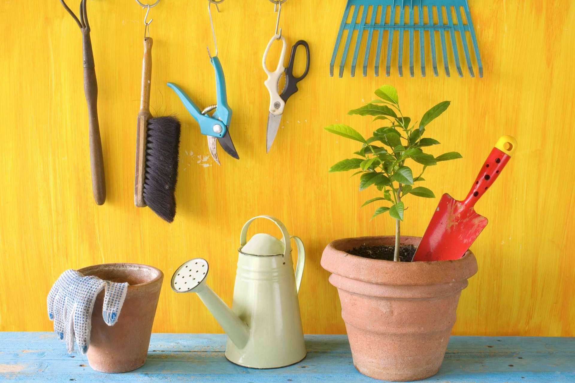 Encontrar una gran variedad de productos para el hogar en Atykus