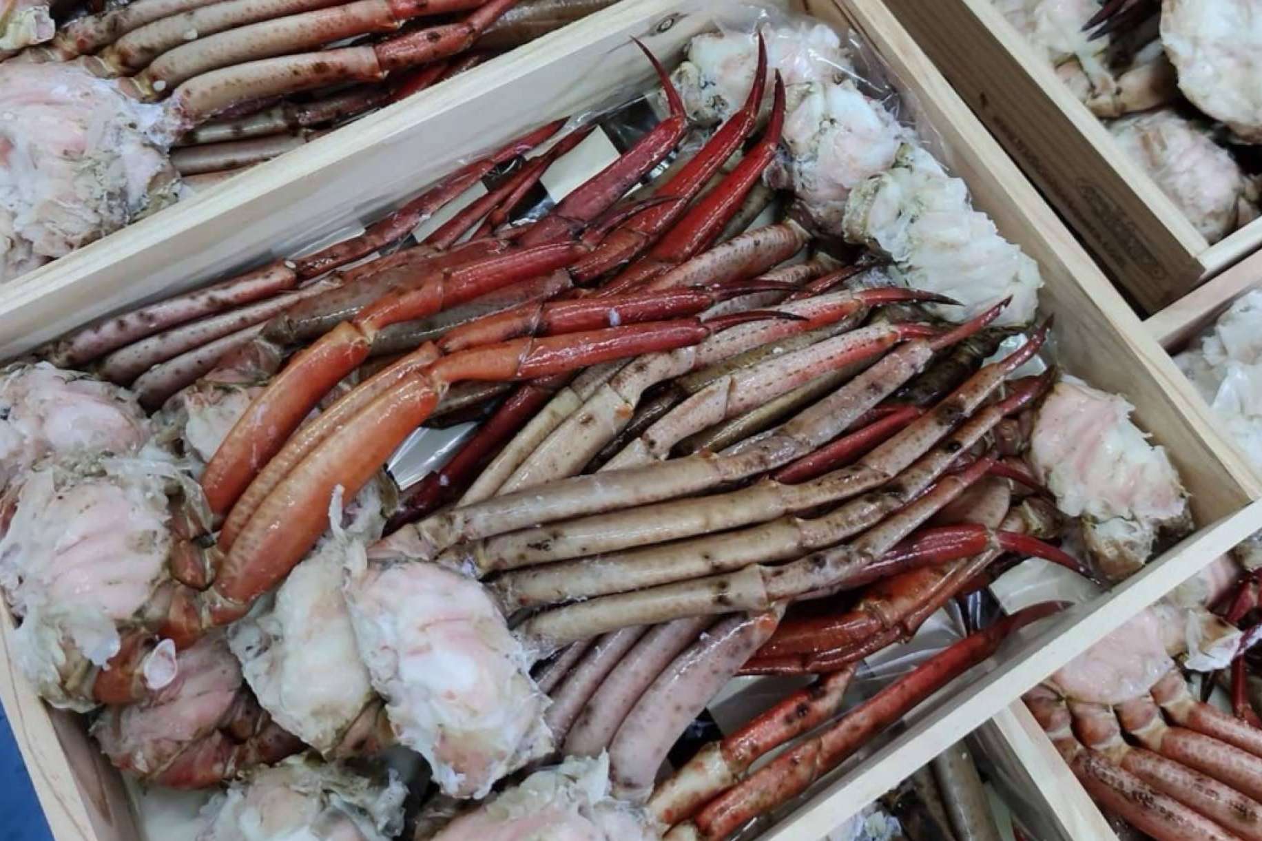 Mariscos online para esta Navidad
