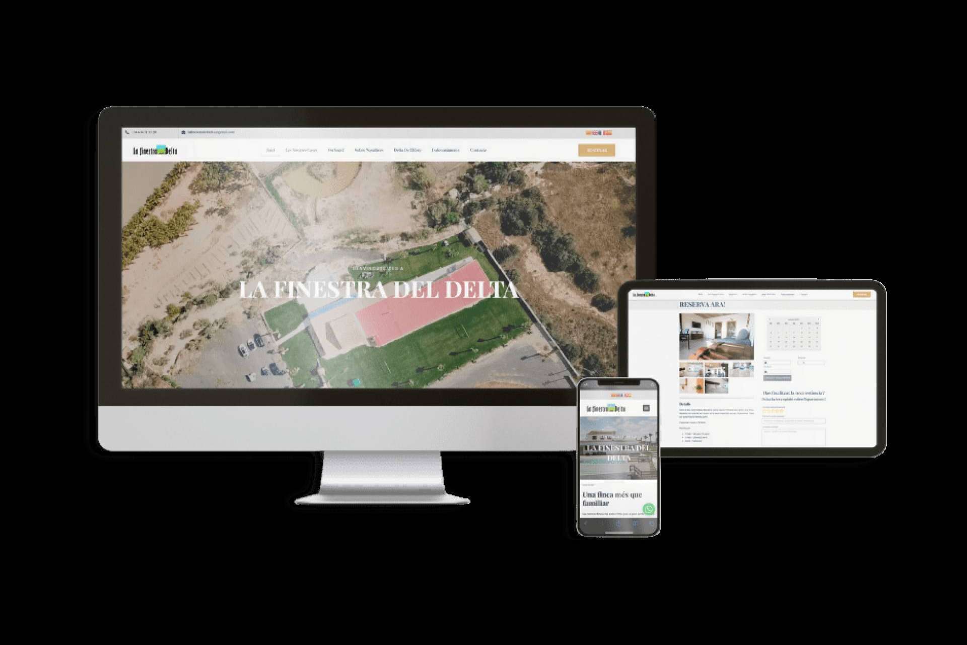 ¿Qué ofrece el servicio de diseño web de IPM Projects ?