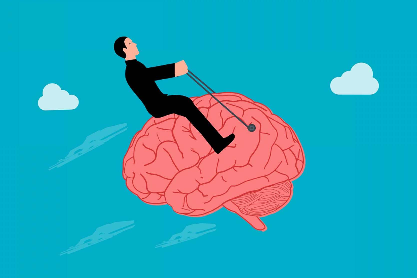 Obtener de manera gratuita en su formato electrónico el libro 'Neuróbica y Ejercicios Neuróbicos' de Edoardo Zeloni Magelli