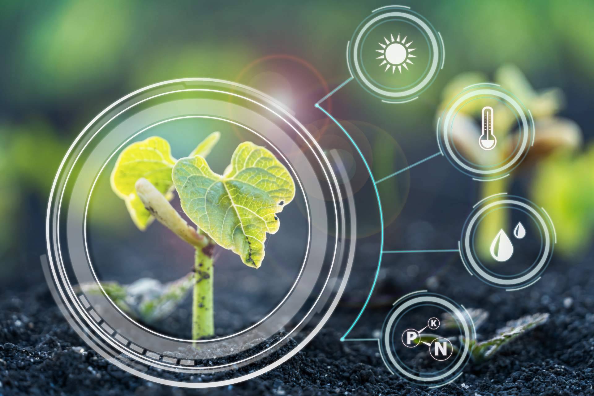 La internet de las cosas permite una agricultura inteligente