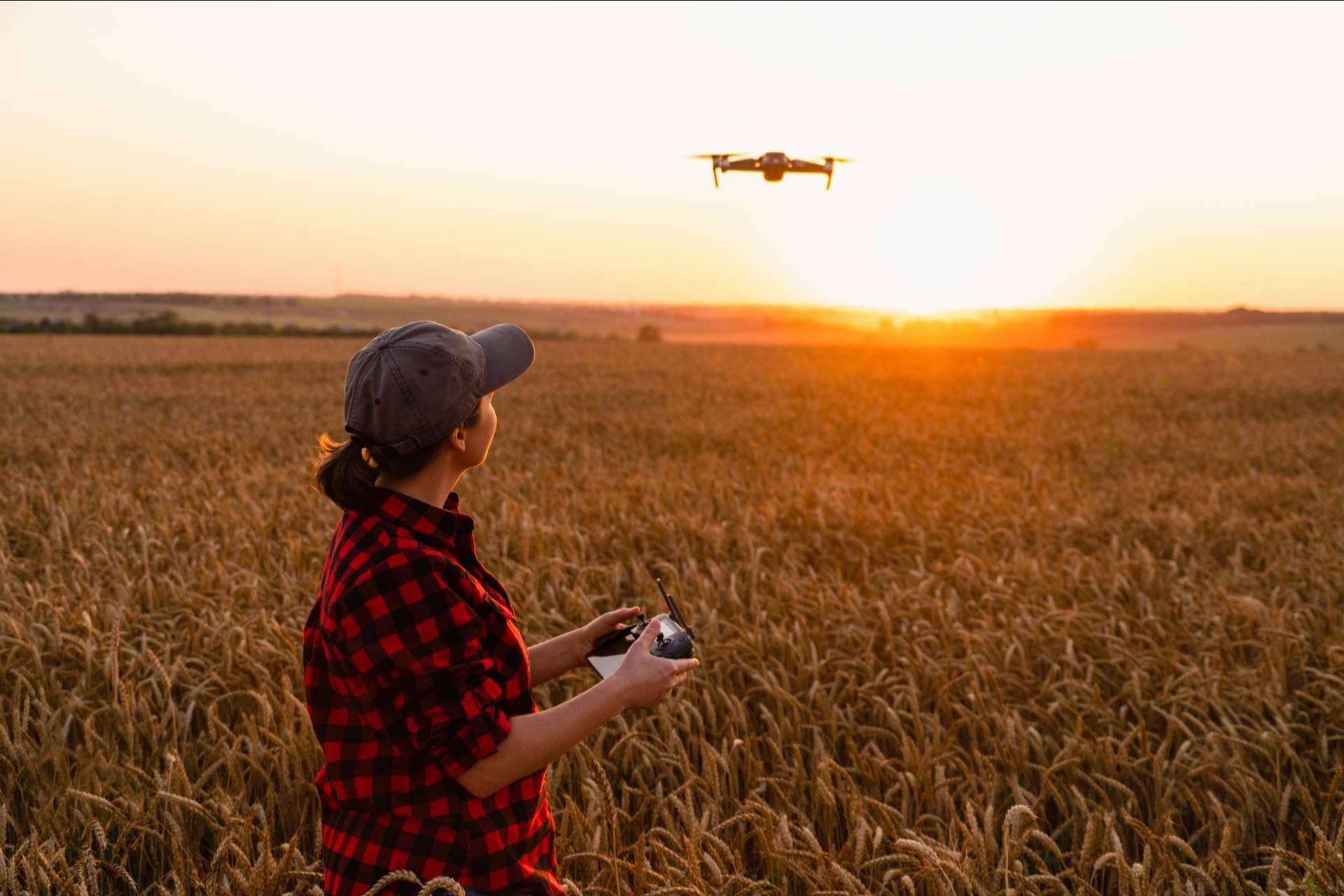 Drones agricultura de la mano de IbericaDron, el nuevo modelo del futuro