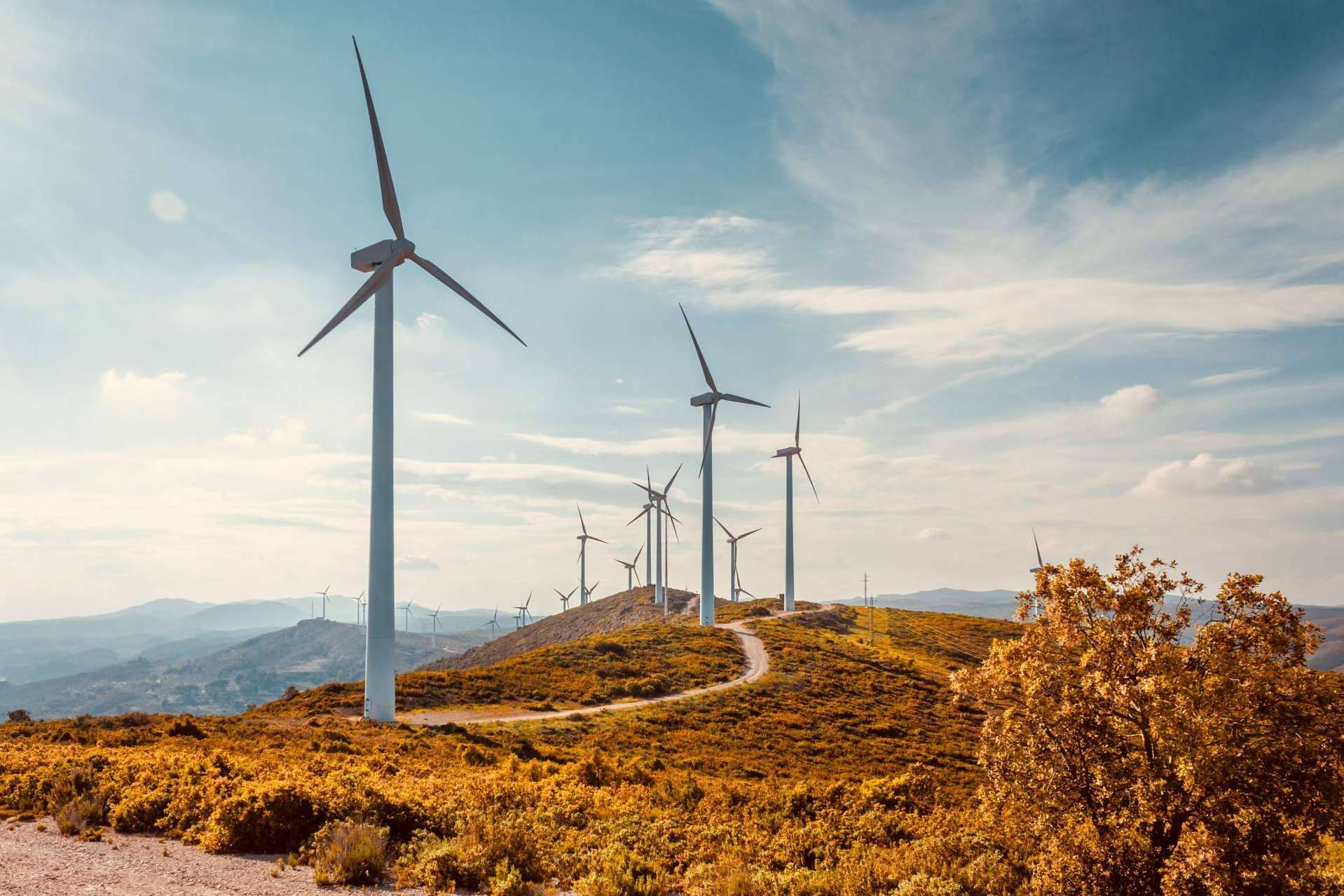 El Grupo Fersa sigue apostando por las energías renovables, cubriendo el 15 % de la potencia instalada en China, el mayor mercado del mundo en el sector eólico