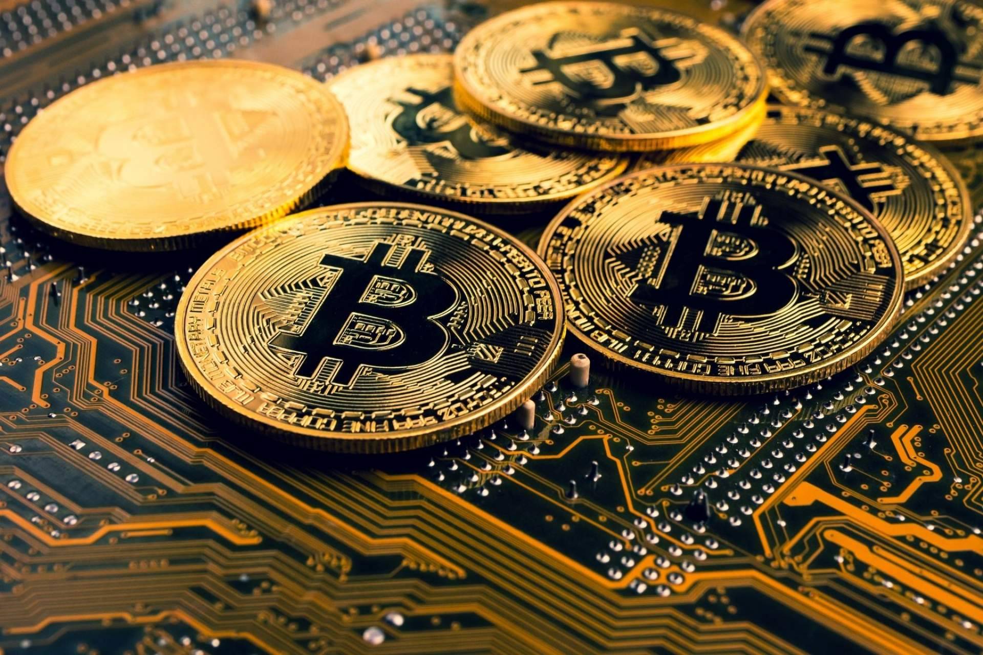 CryptoSharks ofrece uno de los mejores cursos de trading con bitcoin y criptomonedas