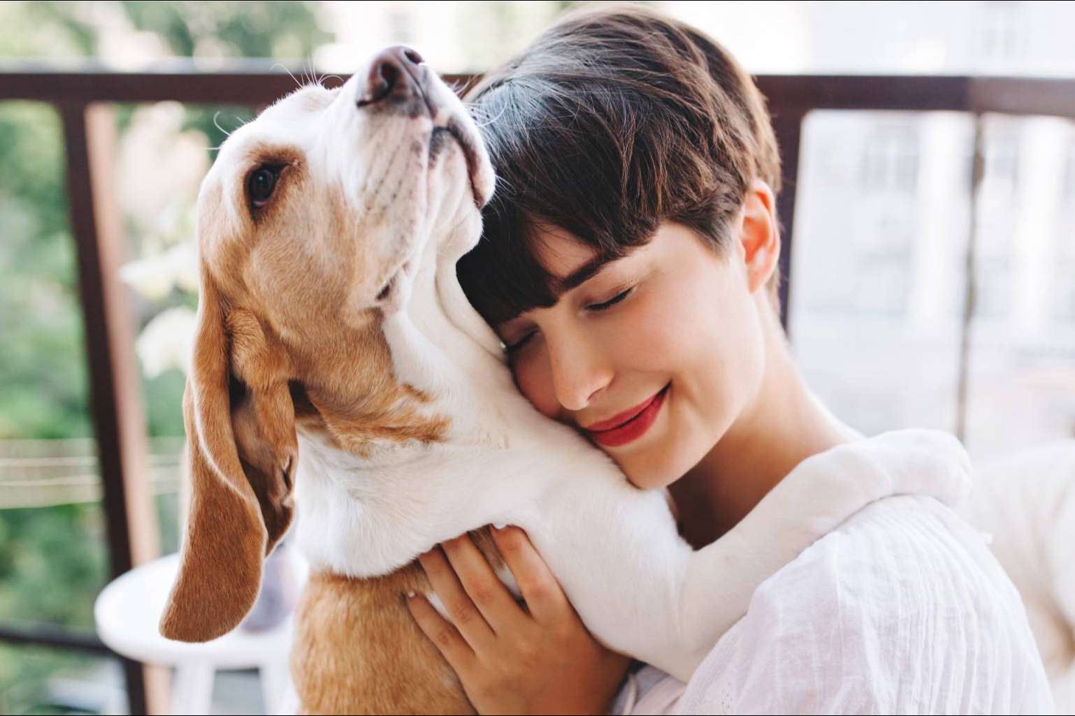 Pets4Good, la nueva tienda de mascotas online solidaria