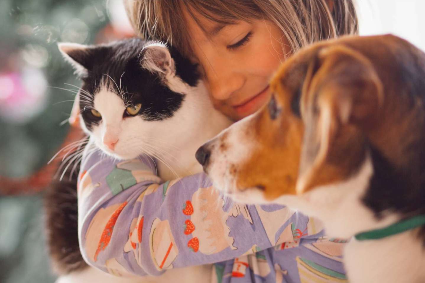 Pets4Good, la tienda de accesorios para mascotas que apoya causas benéficas