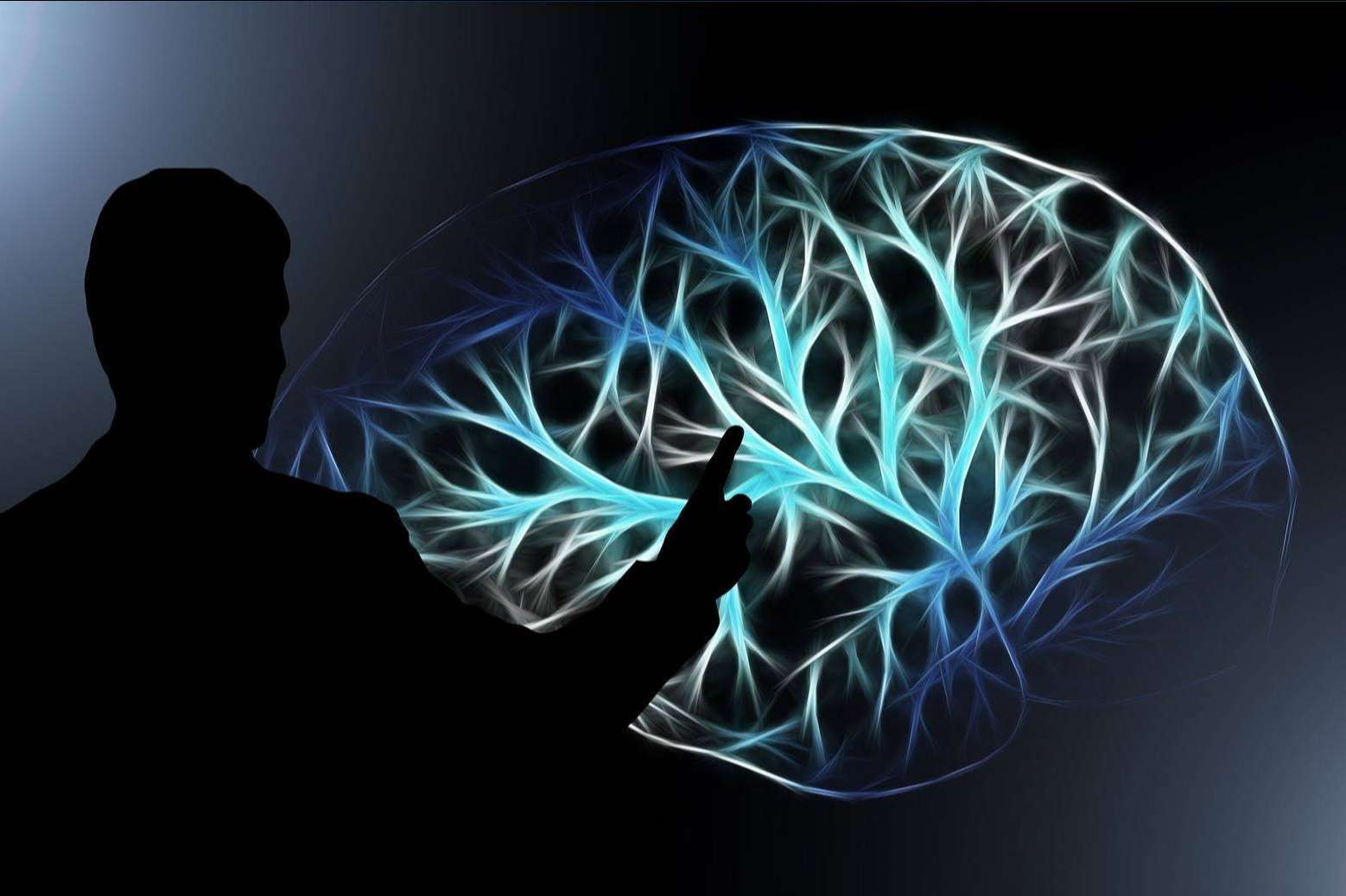 La nueva plataforma de cursos sobre la mente, Mind Galaxy
