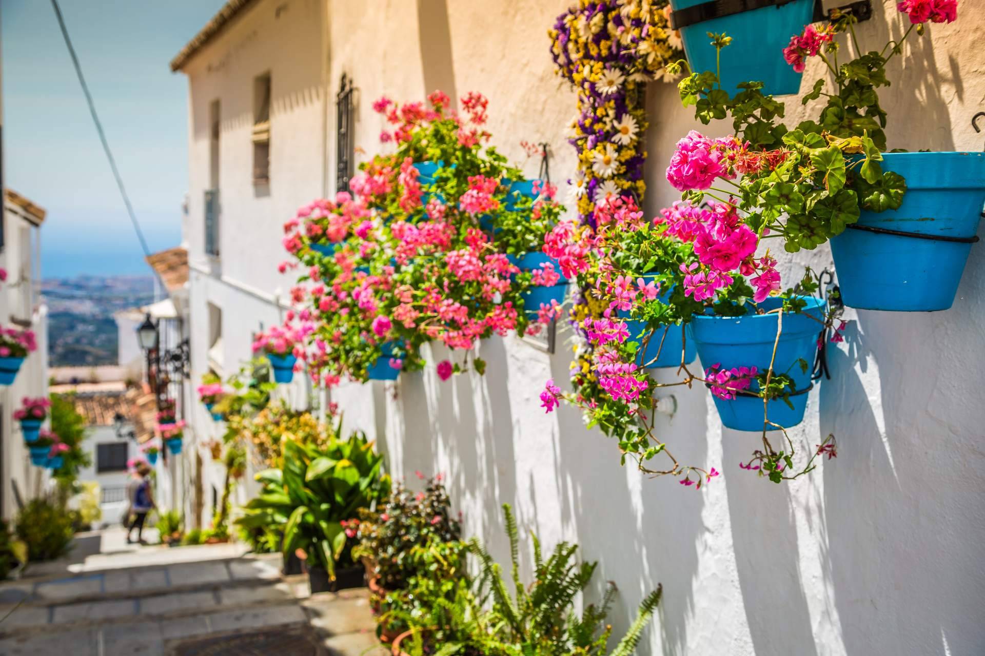 10 puntos claves para el ciudadano de Mijas sobre el futuro del municipio