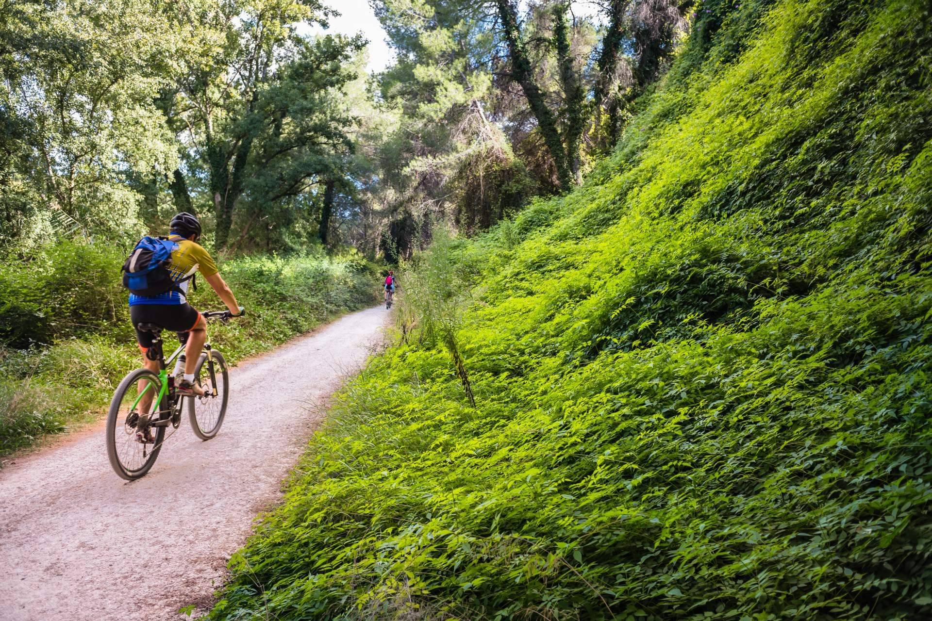 Contratar el alquiler de bicis de gama alta con Bikefeelings