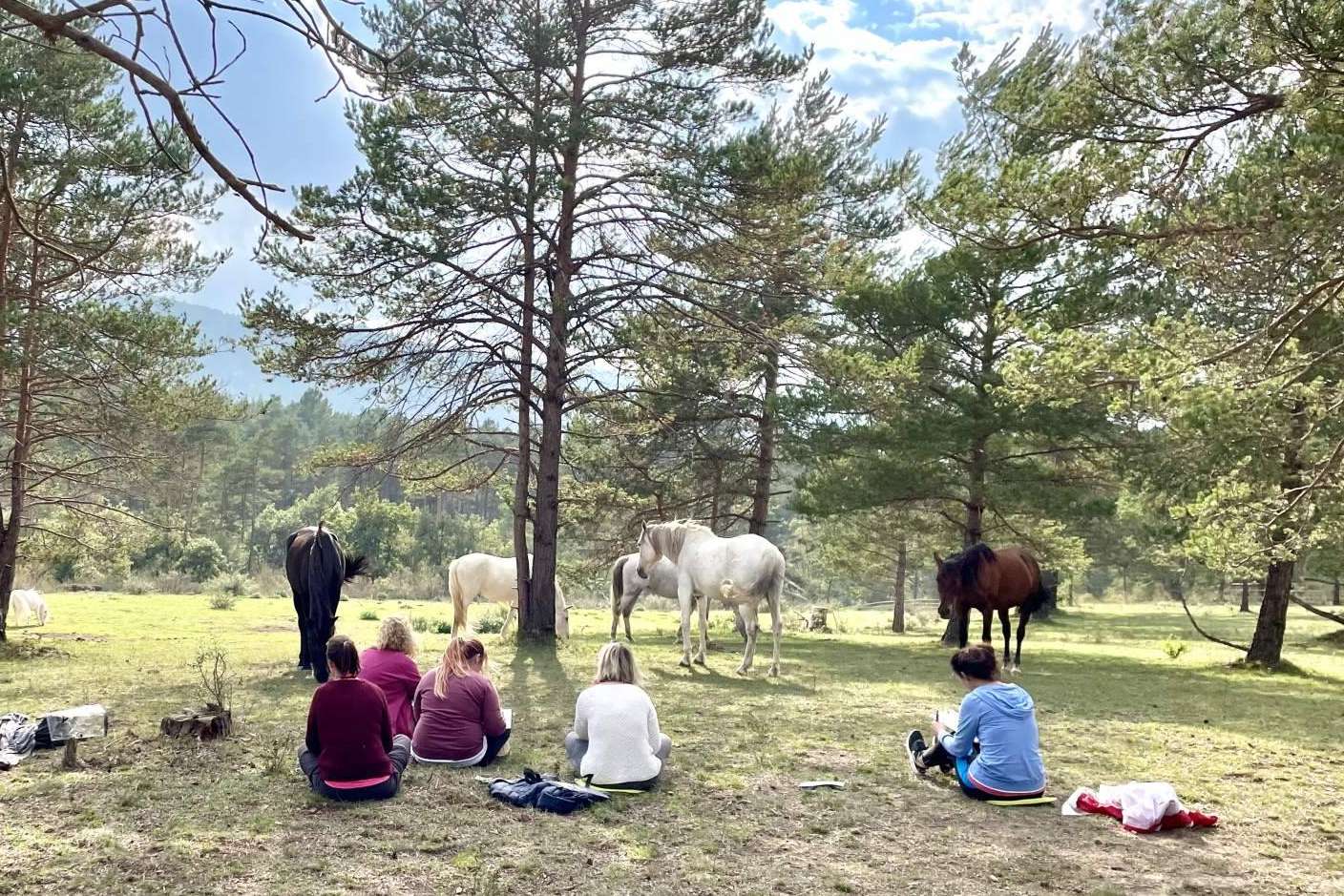 Aura, una escuela de formación focalizada en acompañamiento asistido con caballos en libertad
