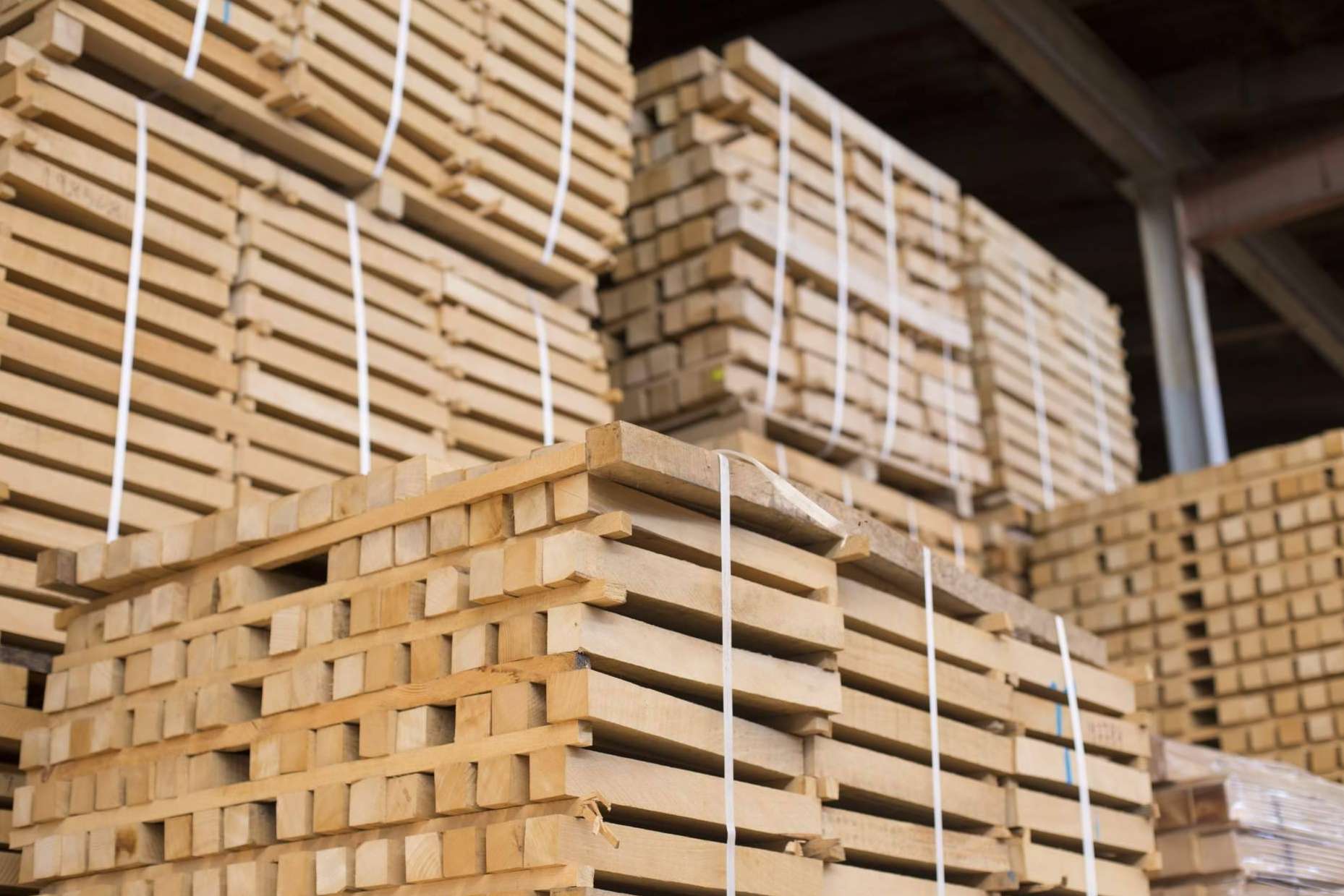 MAJOFESA sobre la importancia de las empresas madereras con certificados FSC ® y PEFC ™
