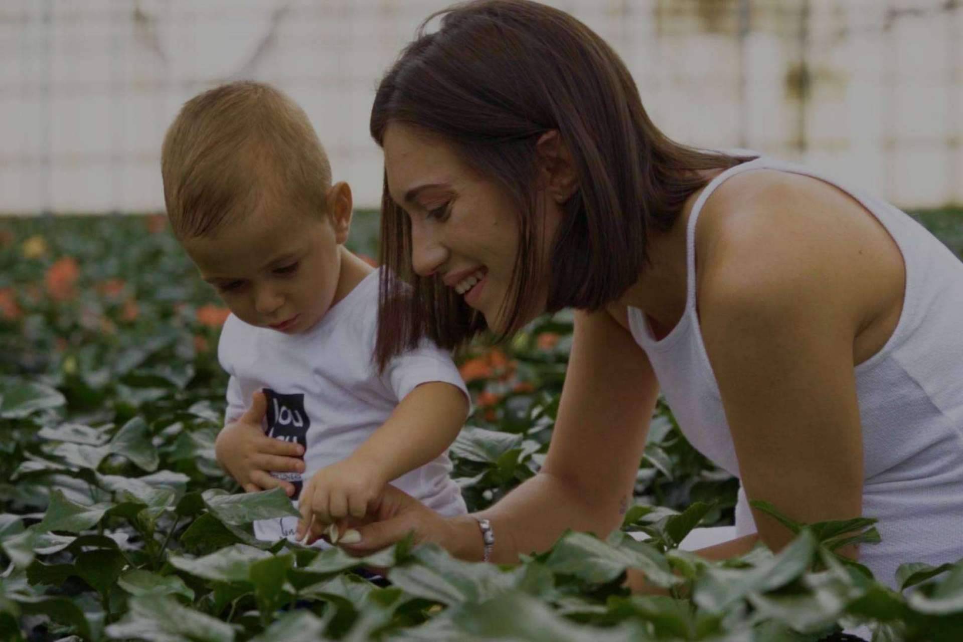 Rachel & Co, un amplio catálogo con todo tipo de plantas ornamentales