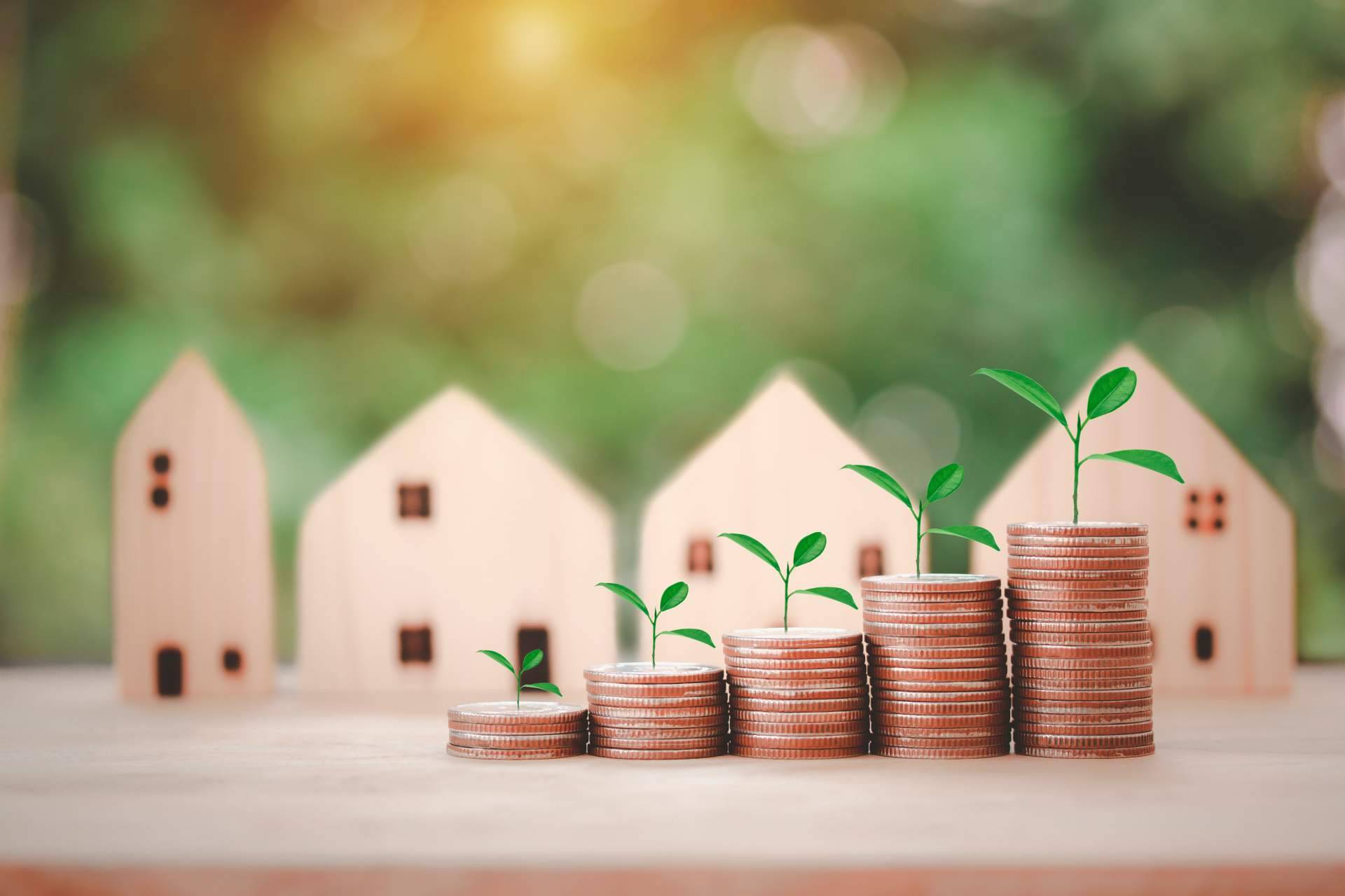 Francisco José Suárez Díaz sobre la inversión inmobiliaria con criptomonedas