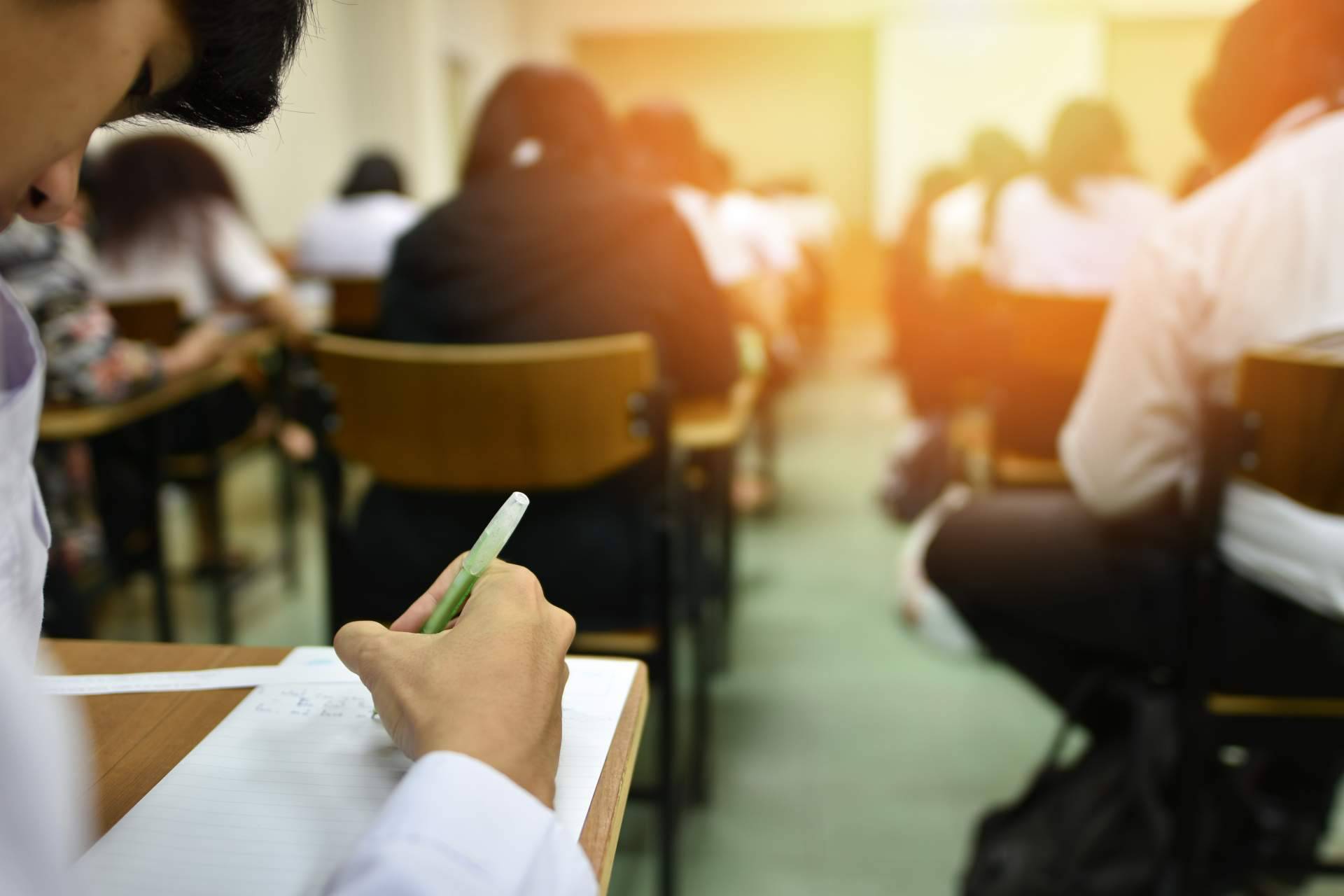 Pàlcam sobre los motivos por los que los ciclos formativos son una buena opción frente a las carreras universitarias