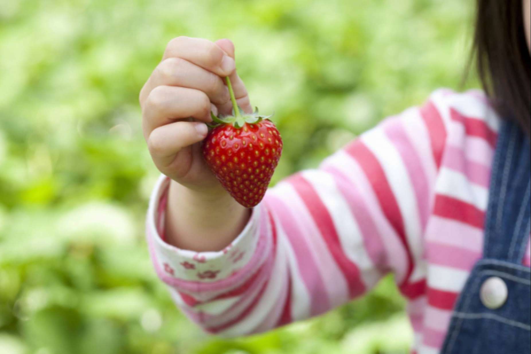 La importancia de una buena nutrición infantil, según la clínica Alzenit
