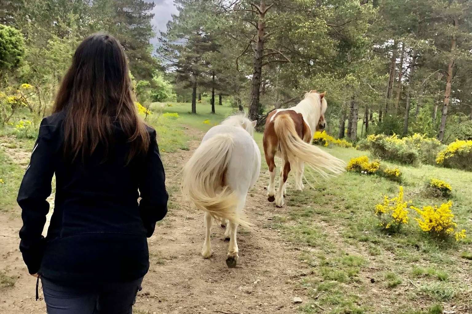 PNL asistida con caballos en libertad con Aura