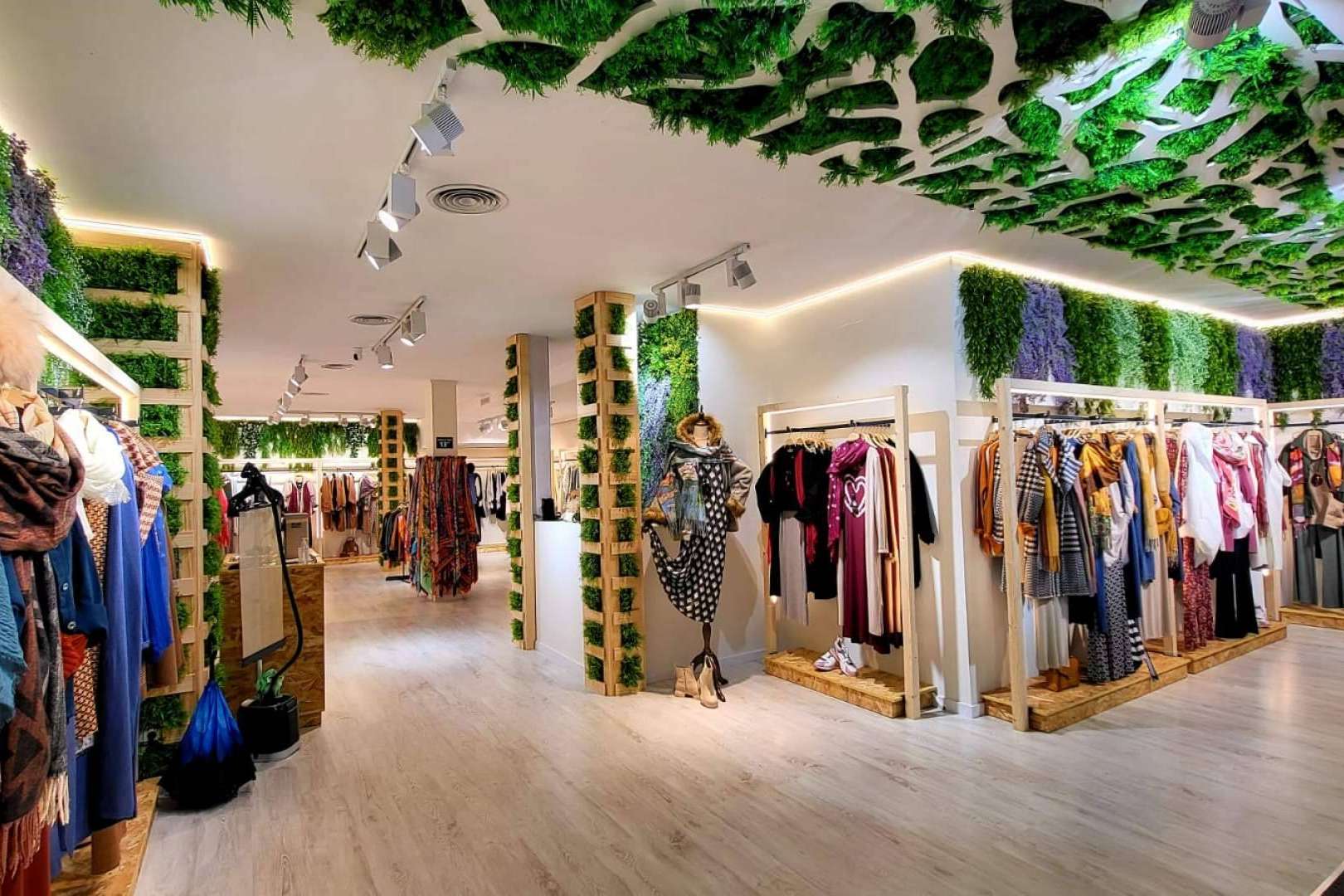 Abrir una franquicia Moolberry y unirse a la moda sostenible con más tendencia